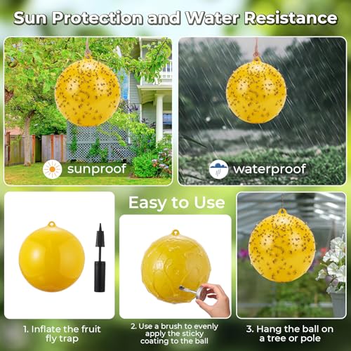 4 Pcs Large Fly Trap Balls Hanging Fly Catcher,Gnat Insect Bug - style: Gnat Insect Bug