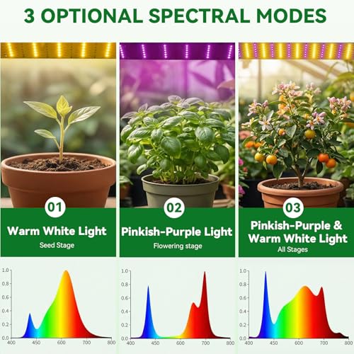 Mini Indoor Greenhouse with Grow Lights & Timer 3 Light Color Mode