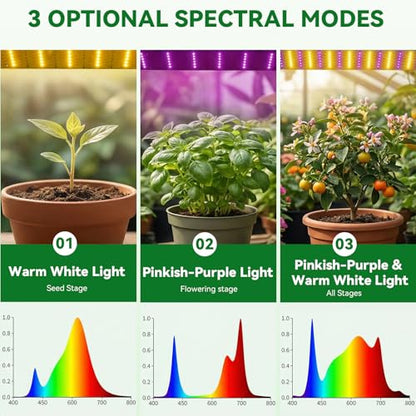 Mini Indoor Greenhouse with Grow Lights & Timer 3 Light Color Mode