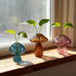 Glass Mushroom Vase Propagation Planter - Set of 3 Propagation Stations