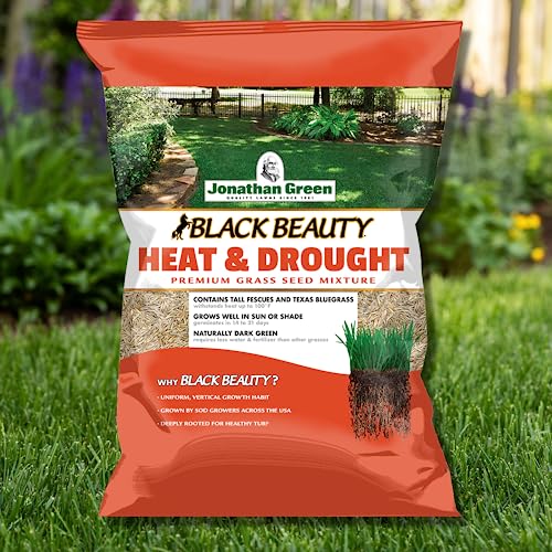 Jonathan Green Black Beauty Heat & Drought Resistant Grass Seed - 3 lb - size: 3 lb