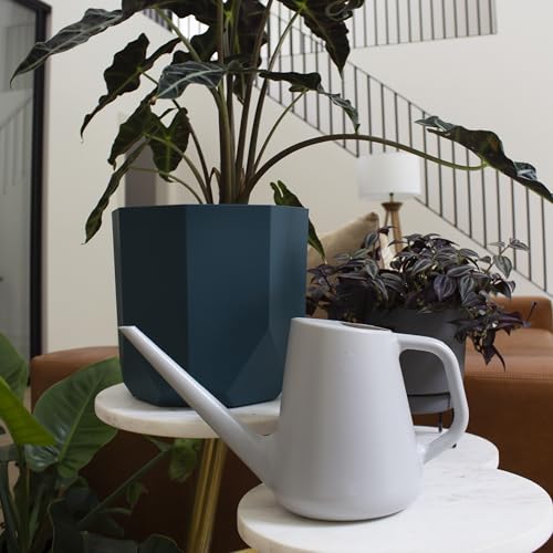 Bloem Fern 50 Oz. Gray Watering Can - 1 Each