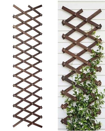 Expandable Wood Trellis for Climbing Plants & Wall Decor, French Country