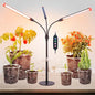 FRGROW 3Head Tabletop Grow Lights for Indoor Plants, Seed Starting, Veg - size: Desk-3Head-27W