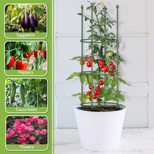 2 Pack Up to 59 Inch Height Adjustable Tomato Cages for Garden - color: Green