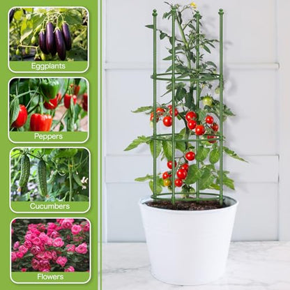 2 Pack Up to 59 Inch Height Adjustable Tomato Cages for Garden - color: Green