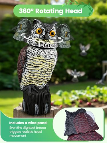 Owl Decoys to Scare Birds Squirrels Away, 360 Rotating Head Activated
