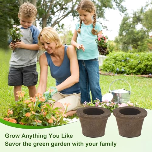 M METERXITY 5-Pack Grow Sponges, 3.5x2.3x2.4 Inch Replacement Root Growth Sponges Seed Pods for Plant Rooting/Seed Germination/Hydroponic Gardens System Supplies, Starter Plug for Seeds - size: 3.5x2.3x2.4 Inch