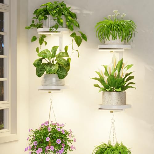 LASZOLA Plant Hanger Holder Shelf Wall Indoor with Lights, 2 Pcs White - color: Pure White, size: 2