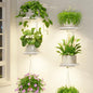 LASZOLA Plant Hanger Holder Shelf Wall Indoor with Lights, 2 Pcs White - color: Pure White, size: 2