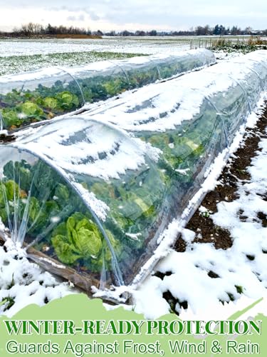 Alphatool 12 x 25 ft Greenhouse Cover Plastic Sheeting for Outdoor Plants - size: 12 x25 ft