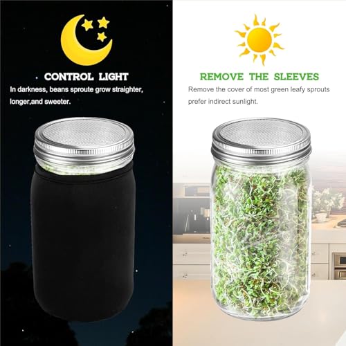 Kitmiido Organic Seed Sprouting Jar Kit – 2 × 32 oz Wide-Mouth Mason Jars - color: Stainless Steel