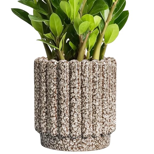 Ceramicfor Ceramic Plant Pot, 7.6 Inch, Leopard Print White - color: Leopard Print White, size: 7.6 Inch