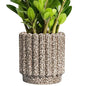 Ceramicfor Ceramic Plant Pot, 7.6 Inch, Leopard Print White - color: Leopard Print White, size: 7.6 Inch