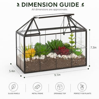 Ferrisland Glass Geometric Plant Terrarium, Clear Glass Succulent - size: 9.1" L x 5.4" W x 7.3" H