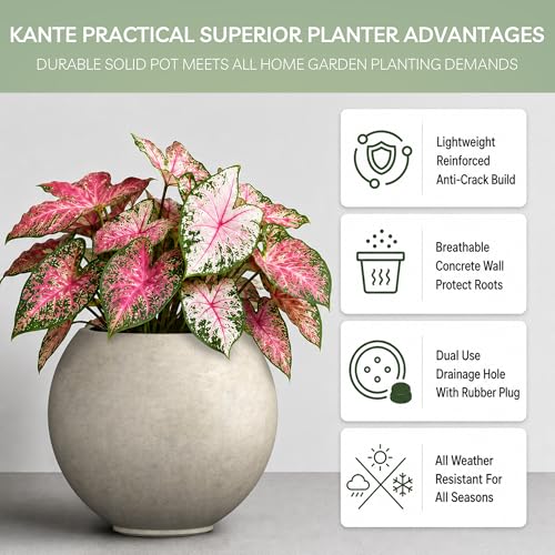 Kante Accent Round Sphere Weathered Concrete Planter 19.3" Dia, Outdoor - color: Weathered Concrete, size: 19.3"w x 16.5"h