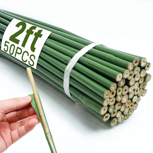50Pcs 2ft Bamboo Sticks for Indoor Outdoor Plants, 0.29"-0.38" Natural Bamboo Poles, Durable Garden Stakes for Tomatoes, Beans, Flowers and Potted Plants - size: 2FT 50PCS