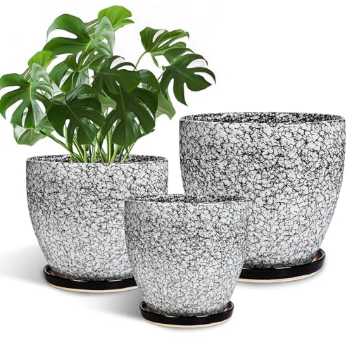 Ceramic Pots for Plants - 10+8+6 Inch Round Flower Pots with Drainage Holes and Saucers, Decorative Planters for Indoor Outdoor, Porch Decor, Housewarming Gifts, Set of 3, White-Black - color: White-black