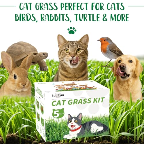 5Pack Cat Grass Seeds Growing Kit for Indoor Cats