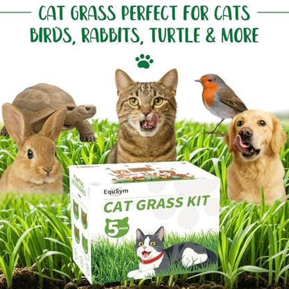 5Pack Cat Grass Seeds Growing Kit for Indoor Cats