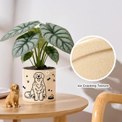 STHIE Ceramic Planters with Drainage Holes, 5 Inch Pots for Indoor Plants - color: Cy-goldbowl01