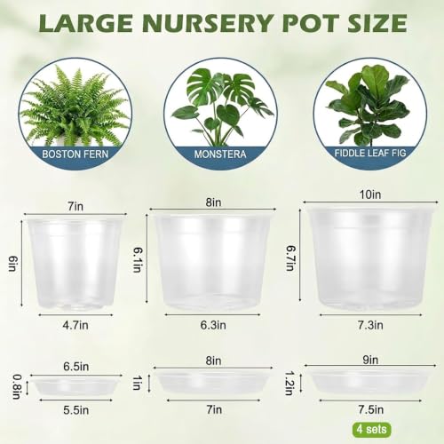 4 Sets 8 Inch Large Clear Nursery Pots with Drainage Holes. - color: 8 Inch
