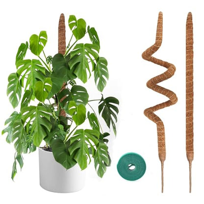 2 Pack Moss Pole 28 Inch Monstera Plant Sticks Support Tall Long Stakes - color: 28inch (2Pack)