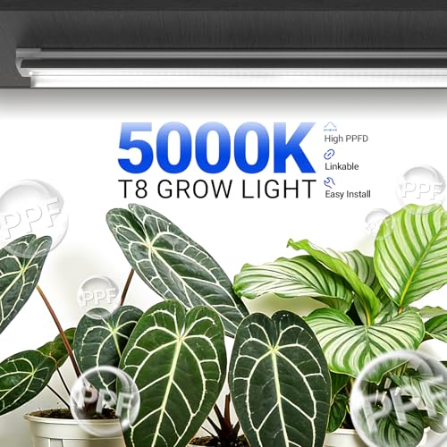 Barrina Plant Grow Lights, 4FT 5000K Full Spectrum Daylight White, 6 Packs - size: 4FT