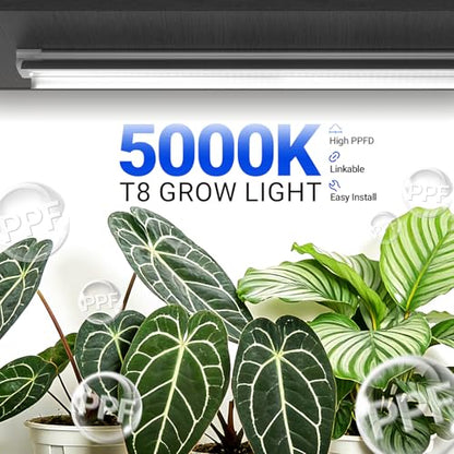 Barrina Plant Grow Lights, 4FT 5000K Full Spectrum Daylight White, 6 Packs - size: 4FT