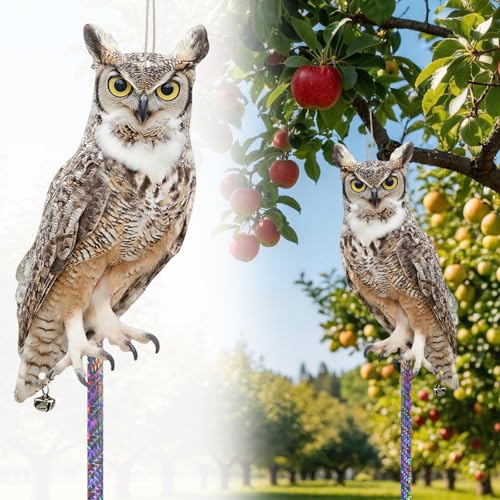 3 Pcs Fake Owl to Scare Pigeon, Hanging Cardboard Flat Fake Owl to Keep Woodpecker Animals Away for Contryard Patio Backyard Front Porch Balcony Farm Orchard Windows - color: 3pcs-white Brown