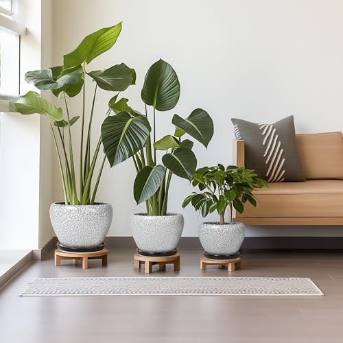 Ceramic Plant Pots, 10+8+6 Inch Flower Pot Indoor, White-Black - color: White-black