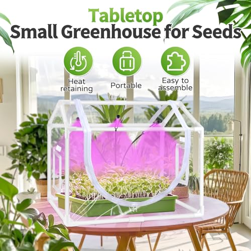 Desktop Mini Indoor Greenhouse with Adjustable Grow Light & Timer - style: 25.6" L x 15.8" W x 20" H