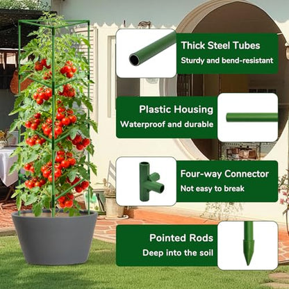 ZeeDix 65 Inch Heavy Duty Tall Tomato Cages for Garden 2 Pack - size: 65 Inch