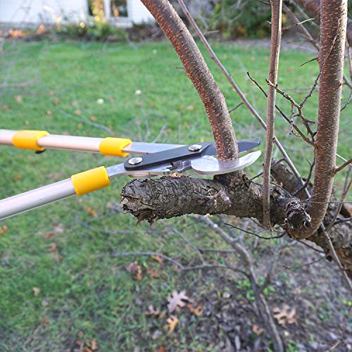 Centurion 76 Heavy Duty Bypass Lopper 1¾-inch Cut Capacity with Telescoping Aluminum Alloy Handle (Extend to 33 Inch)