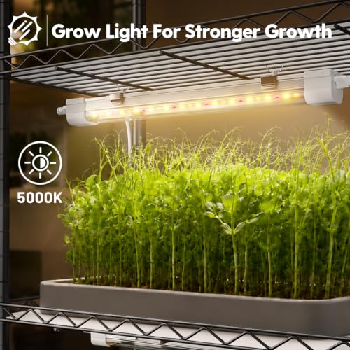 FREELICHT Plant Stand with Grow Light 5-Tier, 4×10W 5000K, 15.7x11.8x61.5IN - size: 15.7x11.8x61.5IN