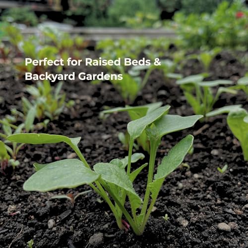 Seed Spacing Ruler for Square Foot Gardening and Raised Beds Planting Guide