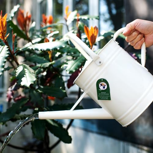 1 Gallon Matte Cream Metal Watering Can, Removable Spout - color: Matte Cream, size: 1 Gallon