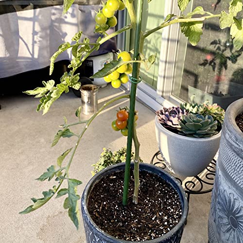 Garden Stakes, 24 Inch 2Ft Steel Plant Tomato Stakes, 25 Pack - size: 24 inch