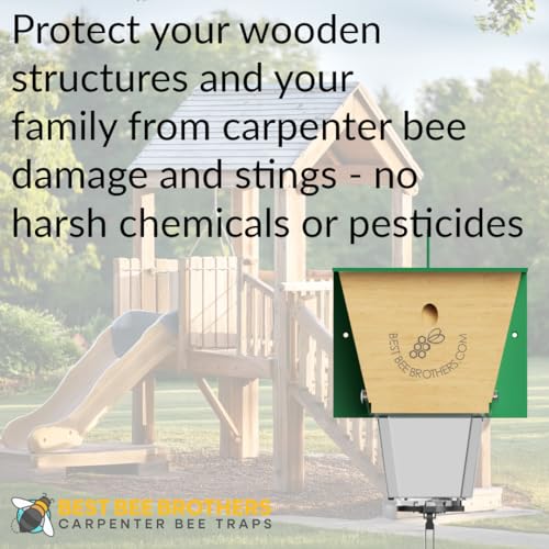 Ultimate Pro Outdoor Carpenter Bee Trap by Best Bee Brothers, Black 2-Pack - color: Black, size: 2 Pack