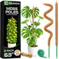 2 Pack 63'' Moss Pole Monstera Plant Support for Climbing Indoor Plants - size: 2-Pack (63 in)