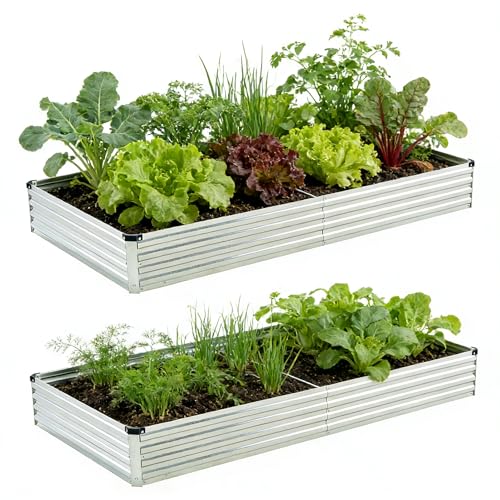 Foxlang 8x4x1ft(2 PCS) Galvanized Raised Garden Bed - color: Silver