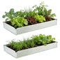 Foxlang 8x4x1ft(2 PCS) Galvanized Raised Garden Bed,Silver - color: Silver