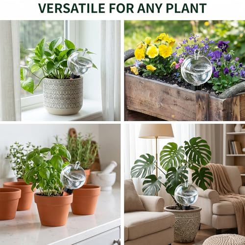 2 Pack 26 oz Extra Large Plant Self Watering Globes to 3 Weeks Watering - size: 2 pack