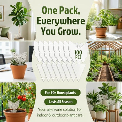 100 Pack Gnat Traps, Double Sided Plant Sticky Traps for Indoor Bug, Clear - color: Clear