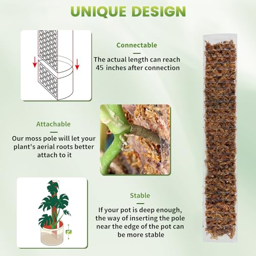 EOX Plastic Moss Pole for Monstera and Climbing Plants, 24-Inch, 4-Pack