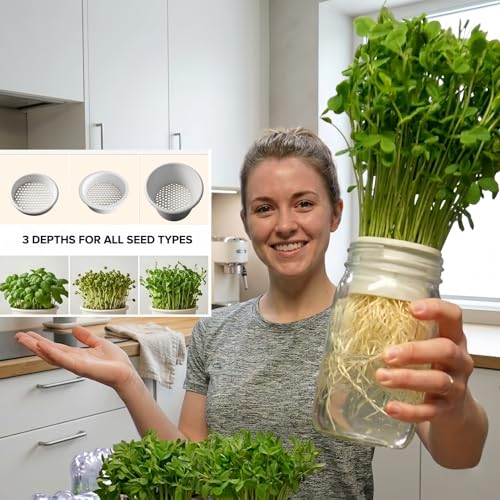 Honeycomb Sprouting Trays for Mason Jars, 3-Pack Seed Starter