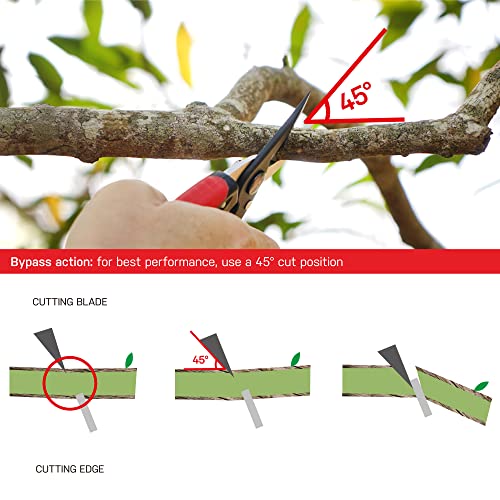 Eden 39005 Bypass Pruning Shears, 5/8 inch cutting diameter for Stems and branches - size: 5/8 Inch Diameter