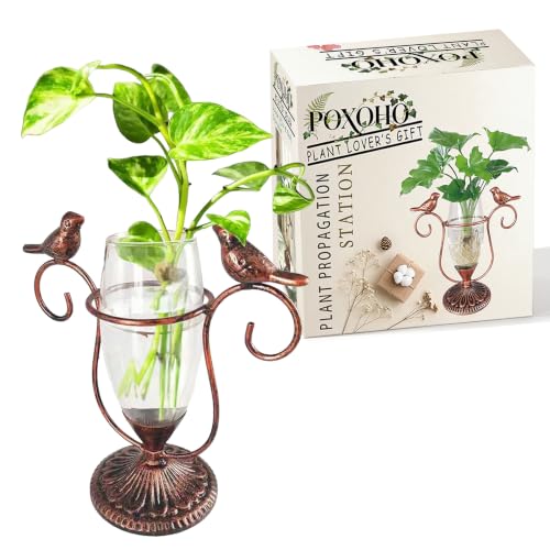 Desktop Plant Propagation Station, Plant Terrarium with Metal Stand - color: Copper Bird, size: 7.1"×6.6"