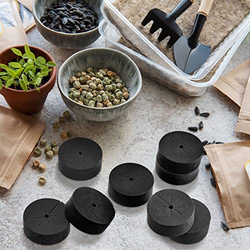 240 Pcs 2 Inch Clone Collars Neoprene Inserts Hydroponic Cloner, Black - color: Black