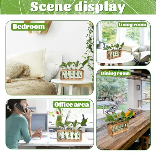 Glass Plant Propagation Station with 5 Test Tubes Colorful Planter Vase - color: Green